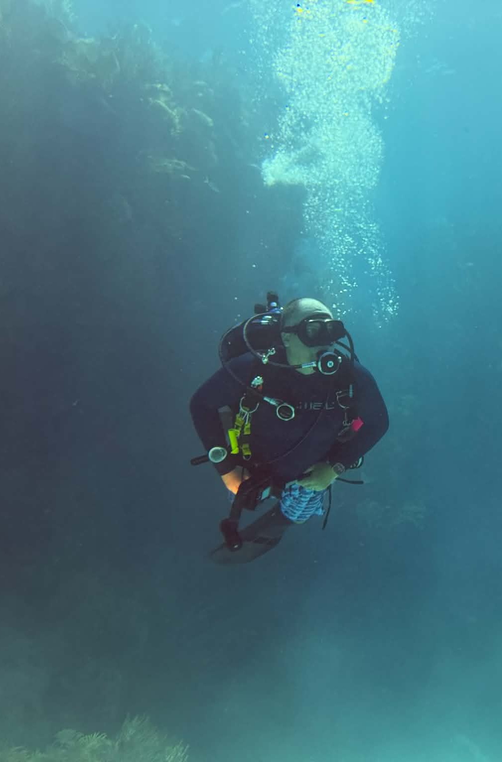 DerekDive